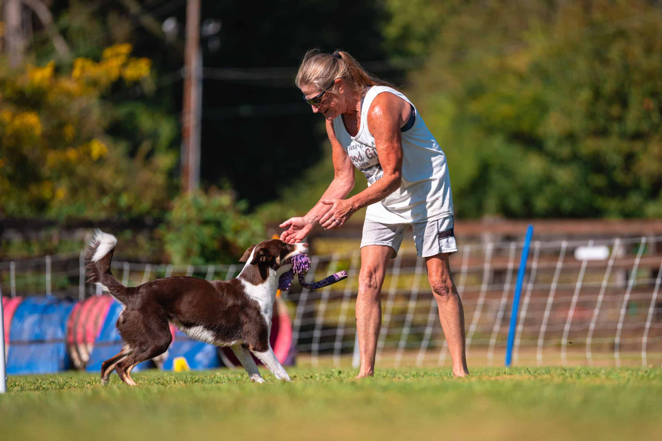 Basic manners training at Run Wild Dog Sports